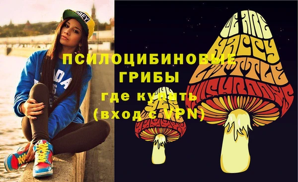 дживик Михайловск