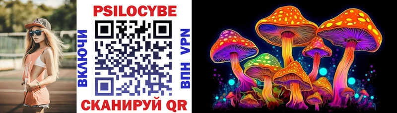 Псилоцибиновые грибы прущие грибы  Купить где  Гусь-Хрустальный 